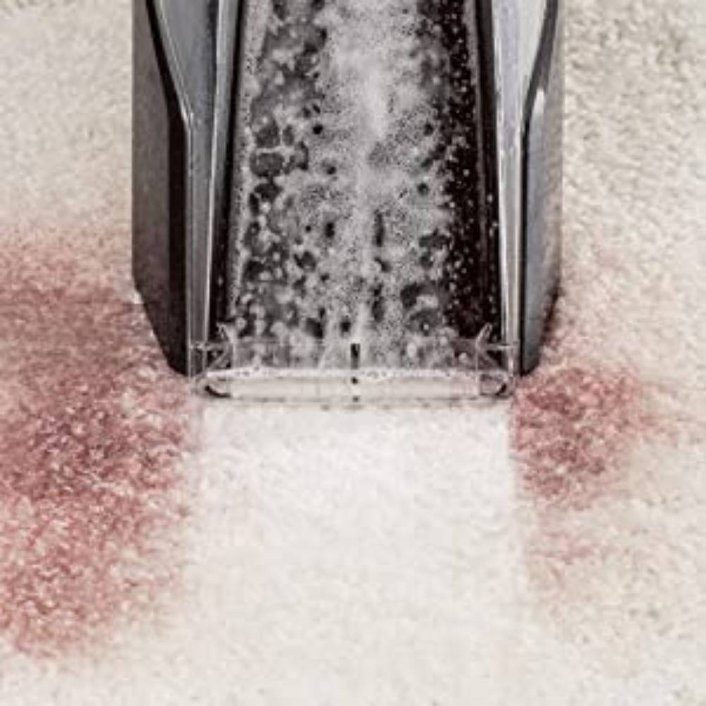 Pet Stain Cleaner